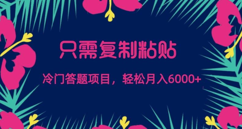 只需复制粘贴，冷门答题项目，轻松月入6000-腾渊论坛
