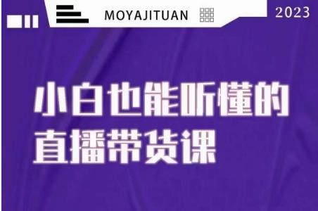 大威本威·能听懂的直播带货课，小白也能听懂，20节完整-腾渊论坛