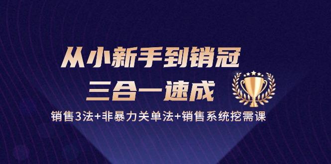 从小新手到销冠 三合一速成：销售3法+非暴力关单法+销售系统挖需课 (27节-腾渊论坛
