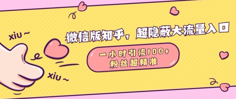 微信版知乎，超隐蔽流量入口1小时引流100人，粉丝质量超高【揭秘】-腾渊网创