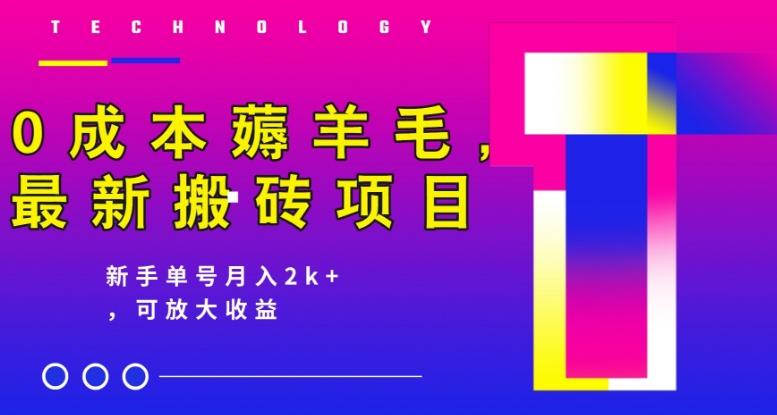 0成本薅羊毛，最新搬砖项目，新手单号月入2k+，可放大操作-腾渊论坛