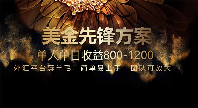 免费技术！小众赛道！一年布局抵三年努力，每日800+-腾渊网创