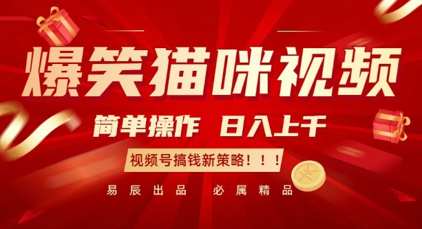 爆笑猫咪视频：简单操作，日入过K，视频号搞钱新策略【揭秘】-腾渊网创