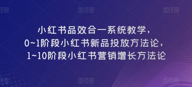 小红书品效合一系统教学，​0~1阶段小红书新品投放方法论，​1~10阶段小红书营销增长方法论-腾渊网创