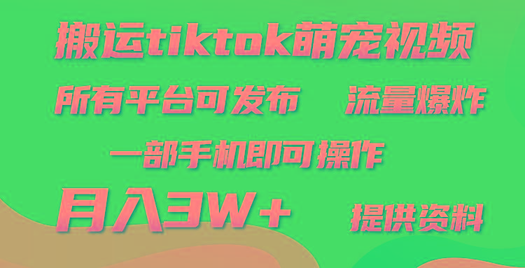 (9618期)搬运Tiktok萌宠类视频，一部手机即可。所有短视频平台均可操作，月入3W+-腾渊网创