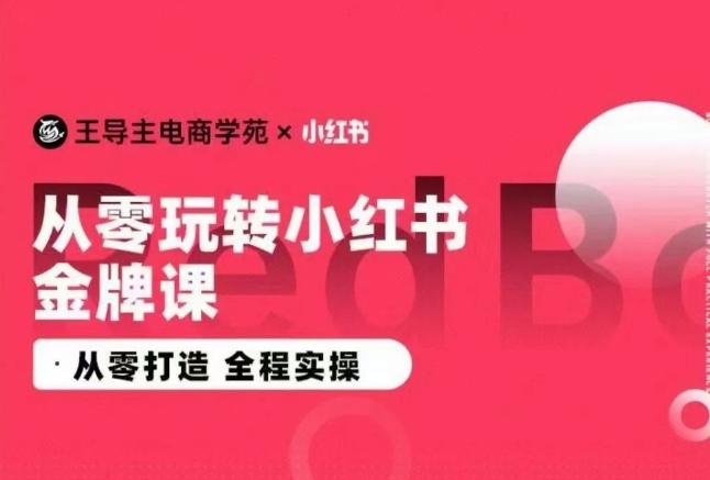 王导主·小红书电商运营实操课，​从零打造  全程实操-腾渊论坛