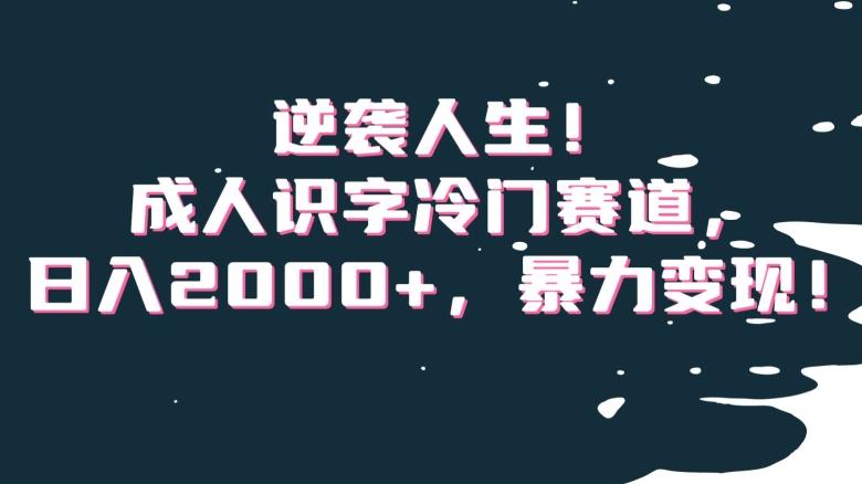 逆袭人生！成人识字冷门赛道，日入2000+，暴力变现！【揭秘】-腾渊网创