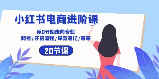 小红书电商进阶课：从0开始走向专业 起号/开店流程/爆款笔记/等等(20节-腾渊网创