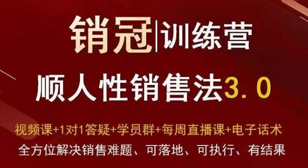 爆款！销冠训练营3.0之顺人性销售法，全方位解决销售难题、可落地、可执行、有结果-腾渊网创