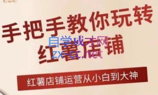 海燕老师·2024手把手教你玩转红薯店铺-腾渊网创