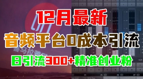 12月最新：音频平台0成本引流，日引流300+精准创业粉-腾渊网创