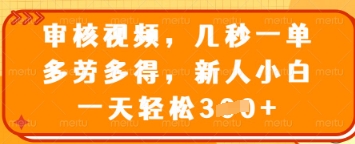 审核视频，几秒一单，多劳多得，新人小白一天轻松3张【揭秘】-腾渊网创
