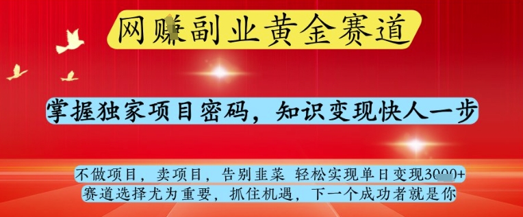 网创副业黄全赛道，掌握独家项目密码，知识变现快人一步，告别韭菜轻松实现单日变现1k+【揭秘】-腾渊论坛