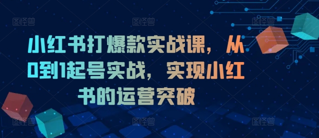 小红书打爆款实战课，从0到1起号实战，实现小红书的运营突破-腾渊网创