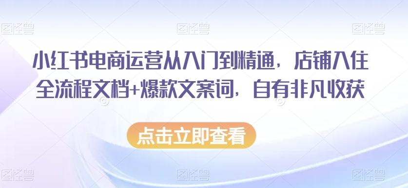 小红书电商运营从入门到精通，店铺入住全流程文档+爆款文案词，自有非凡收获-腾渊网创