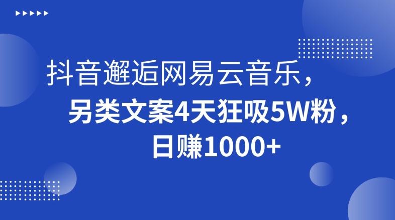 抖音邂逅网易云音乐，另类文案4天狂吸5W粉，日赚1000+【揭秘】-腾渊网创