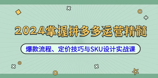 2024掌握拼多多运营精髓：爆款流程、定价技巧与SKU设计实战课-腾渊网创