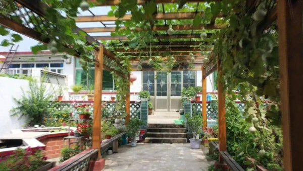 庭院里建葡萄长廊风水好吗-腾渊网创