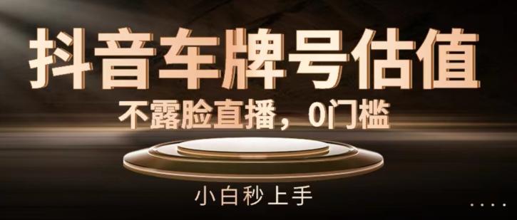 抖音车牌号估值，不露脸直播，0门槛，小白秒上手【揭秘】-腾渊网创