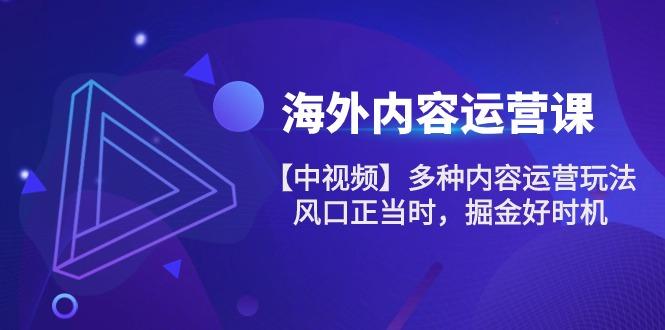 海外内容 运营课【中视频】多种内容运营玩法 风口正当时 掘金好时机-101节-腾渊网创