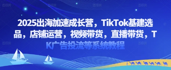 2025出海加速成长营，TikTok基建选品，店铺运营，视频带货，直播带货，TK广告投流等系统教程-腾渊网创