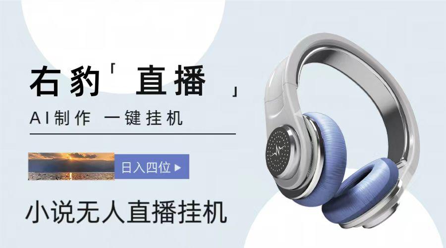 右豹小说无人直播挂机吸金项目，简单易行收益稳定， 月入1000+-腾渊网创