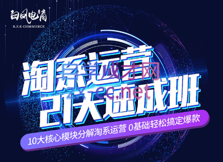 淘系运营21天速成班(更新7月)-腾渊网创
