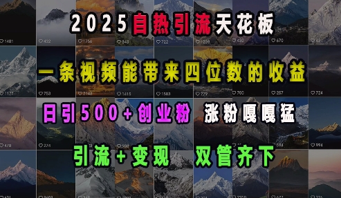 2025自热引流天花板，一条视频能带来四位数的收益，引流+变现双管齐下，日引500+创业粉，涨粉嘎嘎猛-腾渊网创