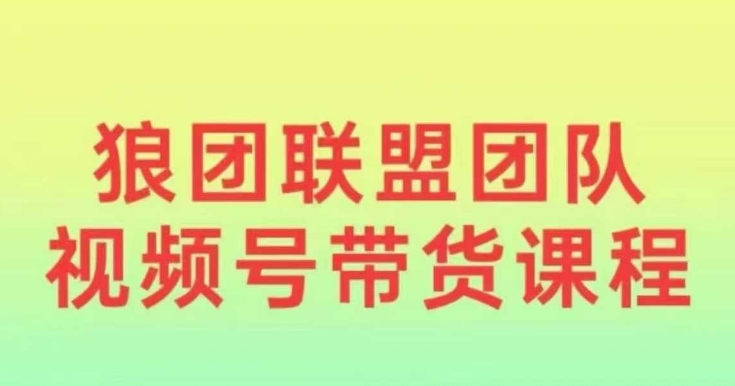 狼团联盟2024视频号带货，0基础小白快速入局视频号-腾渊论坛