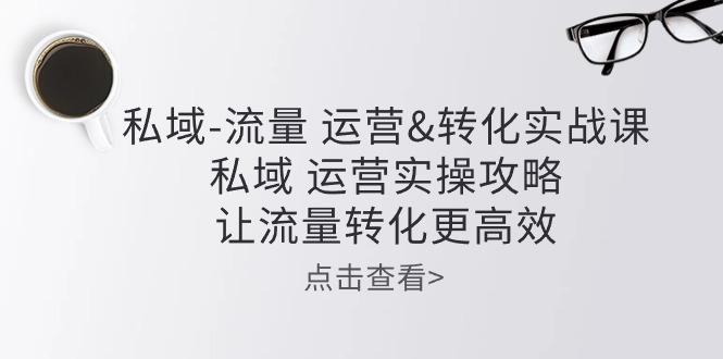私域-流量 运营&转化实操课：私域 运营实操攻略 让流量转化更高效-腾渊网创