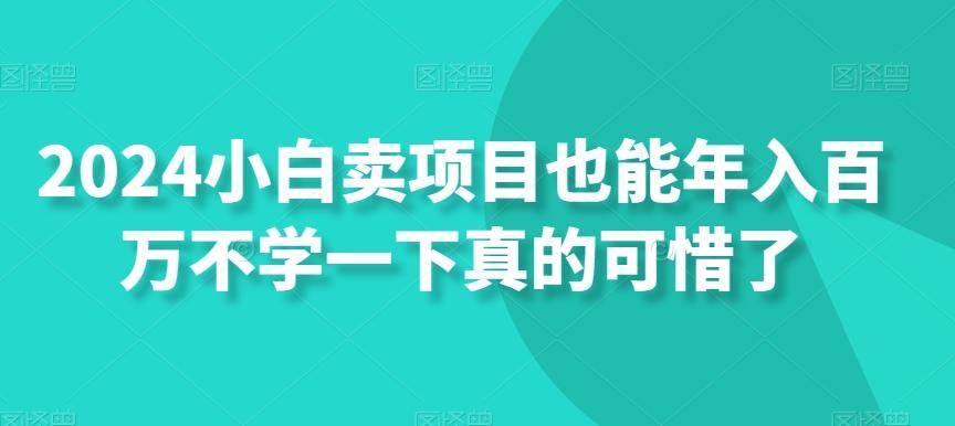 2024小白卖项目也能年入百万不学一下真的可惜了-腾渊论坛