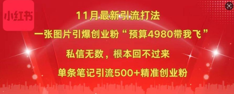 小红书11月最新图片打粉，一张图片引爆创业粉，“预算4980带我飞”，单条引流500+精准创业粉-腾渊网创