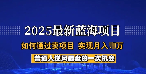 2025蓝海项目，普通人如何通过卖项目，实现月入过W，全过程【揭秘】-腾渊网创