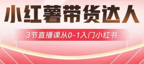 小红薯达人带货启航计划，3节直播课从0-1入门小红书-腾渊网创