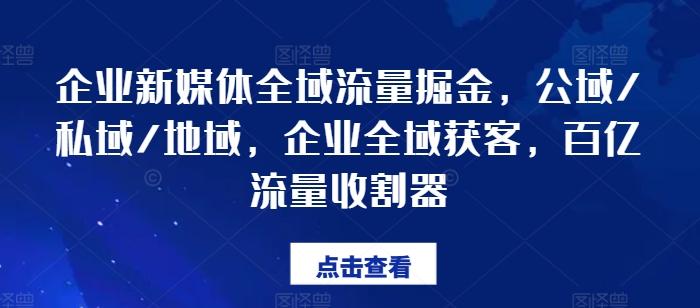企业新媒体全域流量掘金，公域/私域/地域，企业全域获客，百亿流量收割器-腾渊网创