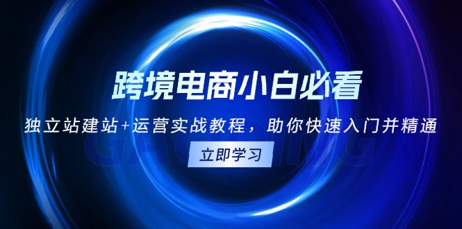 跨境电商小白必看！独立站建站+运营实战教程，助你快速入门并精通-腾渊网创
