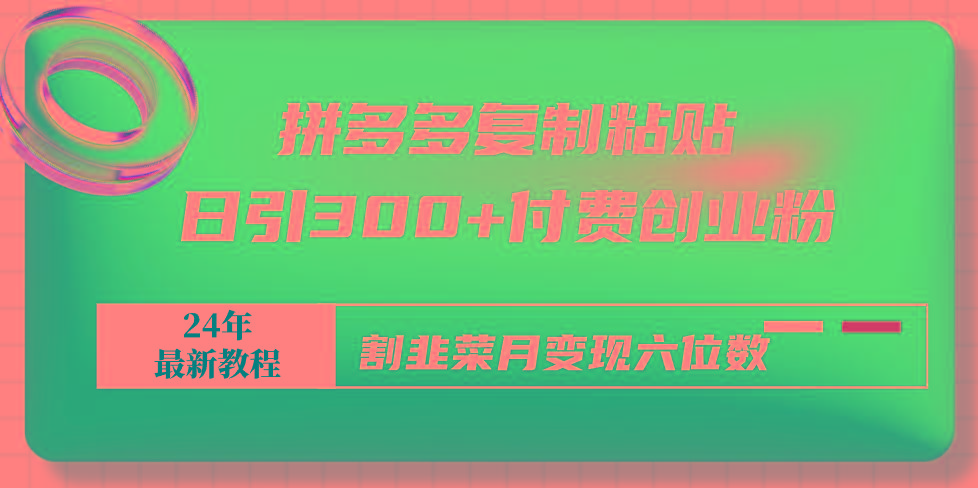 拼多多复制粘贴日引300+付费创业粉，割韭菜月变现六位数最新教程！-腾渊网创