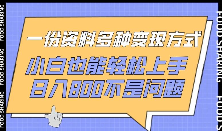 一份资料多种变现方式，小白也能轻松上手，日入800不是问题【揭秘】-腾渊论坛