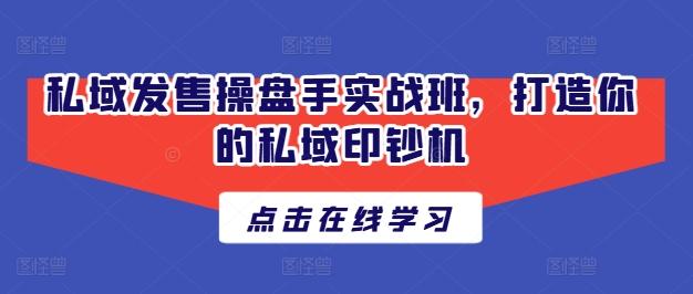 私域发售操盘手实战班，打造你的私域印钞机-腾渊网创