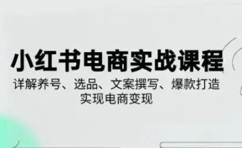小红书从0-1实操课(2023-2025)，详解养号、选品、文案撰写、爆款打造实现电商变现-腾渊论坛