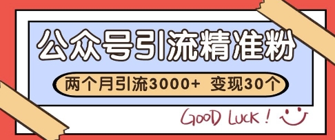 公众号精准粉引流玩法，2个月3000+精准粉，变现30个W【揭秘】-腾渊网创