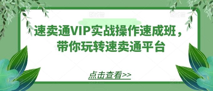 速卖通VIP实战操作速成班，带你玩转速卖通平台-腾渊论坛