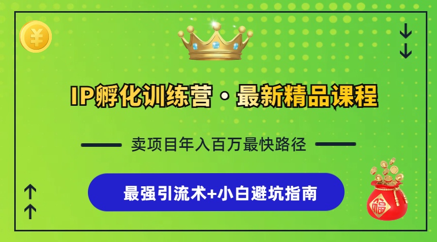 IP孵化训练营，知识付费全流程+最强引流术+小白避坑指南-腾渊网创