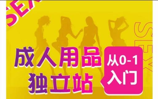 成人用品独立站从0-1入门，成品独立站运营全流程教学，七大好卖成品独立站推荐-腾渊网创