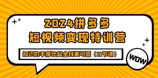(9817期)2024拼多多短视频变现特训营，知识的丰厚比起金钱更可靠(11节课)-腾渊论坛
