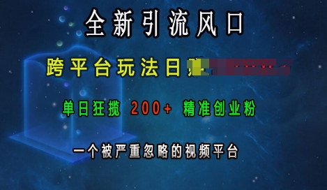 全新引流风口，跨平台玩法日入上k，单日狂揽200+精准创业粉，一个被严重忽略的视频平台-腾渊论坛