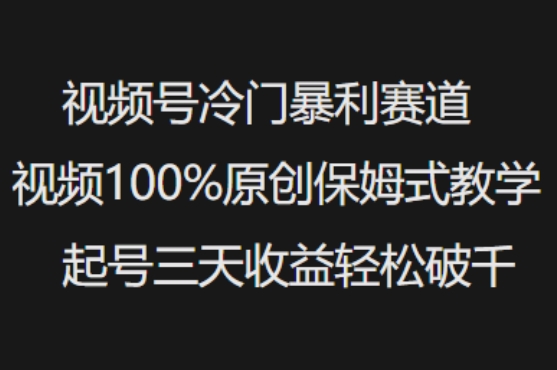 视频号冷门暴利赛道视频100%原创保姆式教学起号三天收益轻松破千-腾渊网创