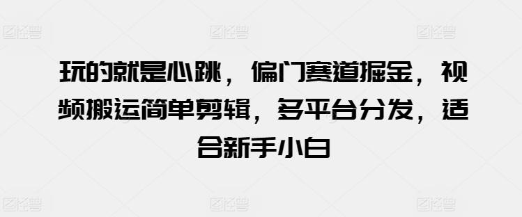 玩的就是心跳，偏门赛道掘金，视频搬运简单剪辑，多平台分发，适合新手小白【揭秘】-腾渊论坛