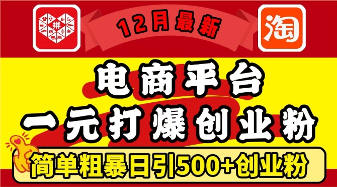 12月最新：电商平台1元打爆创业粉，简单粗暴日引500+精准创业粉，轻松月入过W【揭秘】-腾渊网创