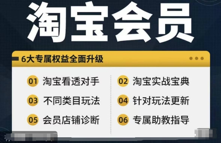 淘宝会员【淘宝所有课程，全面分析对手】，初级到高手全系实战宝典-腾渊网创